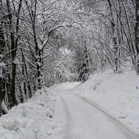 Guest house Rifugio Escursionistico La Rua