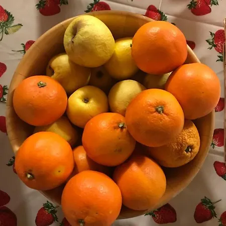 Rifugio Escursionistico La Rua Guest house Macra