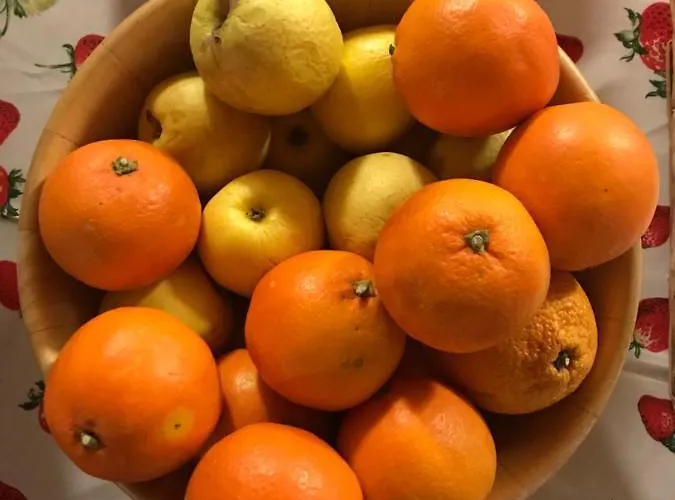 Rifugio Escursionistico La Rua 게스트하우스 Macra